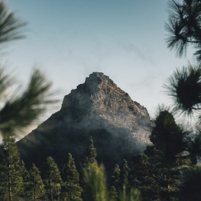 Interesting Developments in 2024