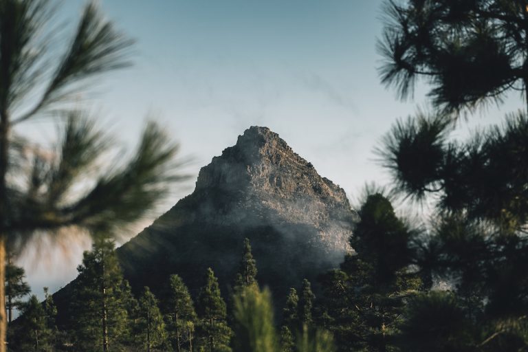 Read more about the article Interesting Developments in 2024