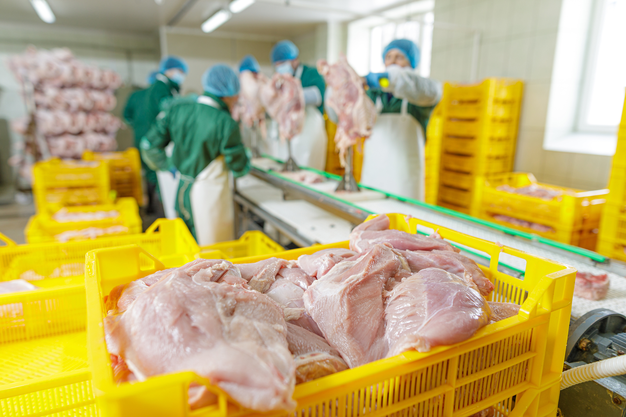 You are currently viewing Injuries in Food Processing Facilities